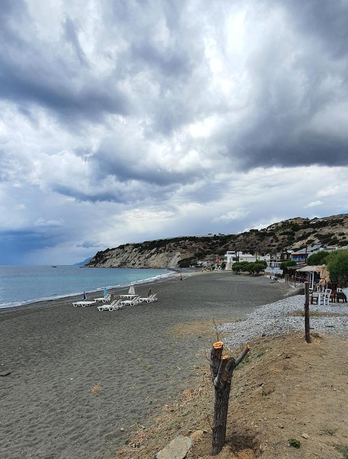 Eirini Apts On The Beach Psari Forada Dış mekan fotoğraf