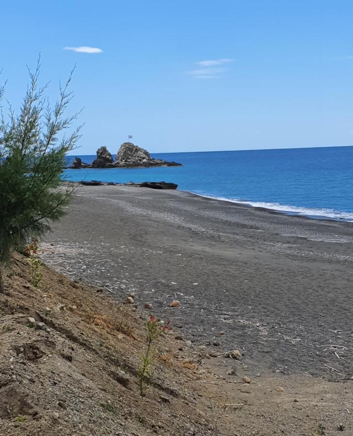 Eirini Apts On The Beach Psari Forada Dış mekan fotoğraf