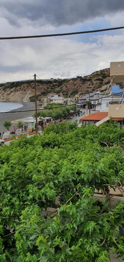 Eirini Apts On The Beach Psari Forada Dış mekan fotoğraf